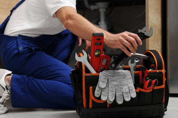 Best Drain Cleaning Services  in Lincolnwood, IL